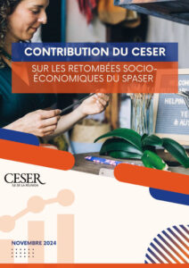 Première de couverture de la contribution au SPASER